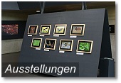 Ausstellungen