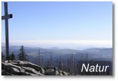 Natur