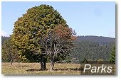 Parks